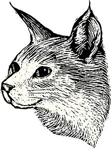 Cat Face 2