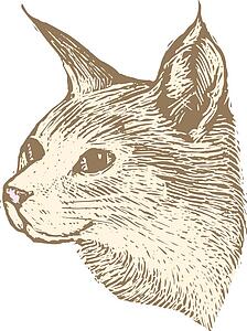 Cat Face 2