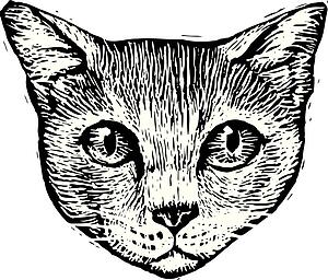 Cat Face 3