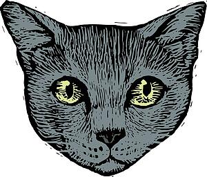 Cat Face 3
