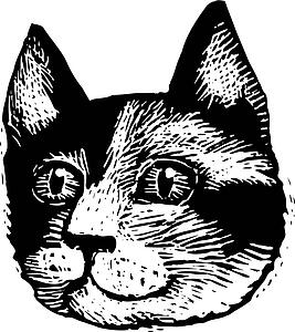Cat Face 5