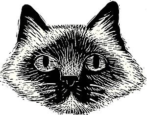 Cat Face 6