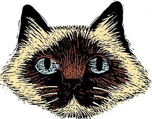 Cat Face 6