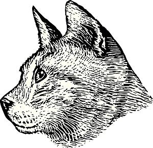 Cat Face 8