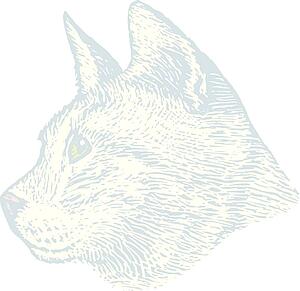 Cat Face 8