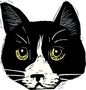 Cat Face 9