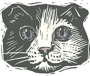 Cat Face 10