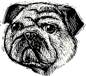 Dog Face 1