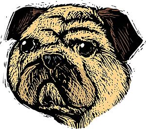 Dog Face 1