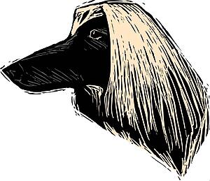 Dog Face 2