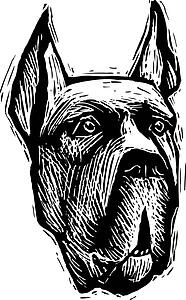 Dog Face 3