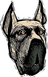 Dog Face 3