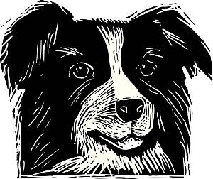 Dog Face 4