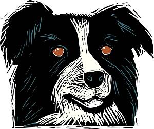 Dog Face 4