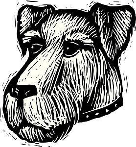Dog Face 5
