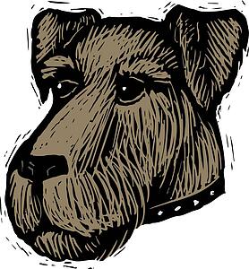 Dog Face 5