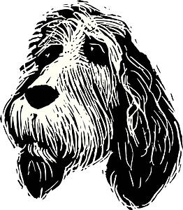 Dog Face 6