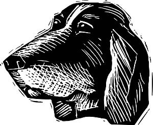 Dog Face 8