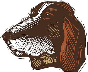 Dog Face 8