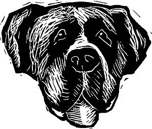 Dog Face 9