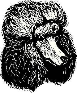 Dog Face 10