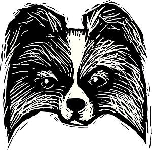 Dog Face 12