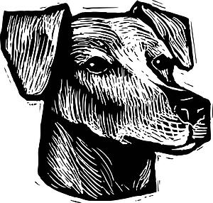 Dog Face 14