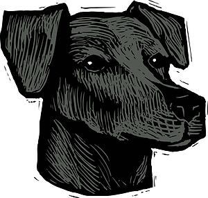 Dog Face 14