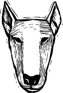 Dog Face 16