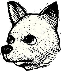 Dog Face 17