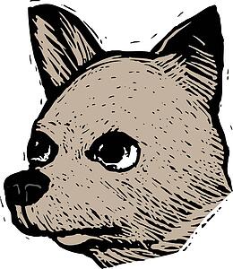 Dog Face 17