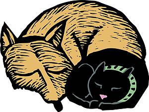 Nap