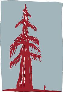 redwood
