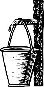 maple harvest