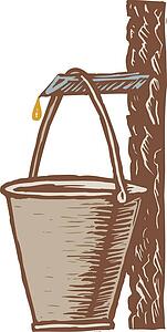 maple harvest