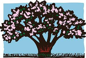magnolia tree