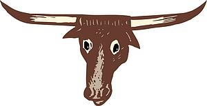 steer