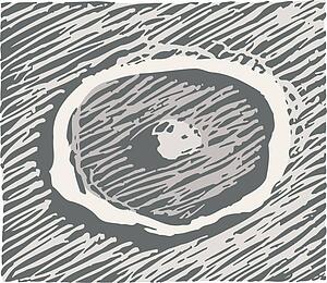 Complex Crater