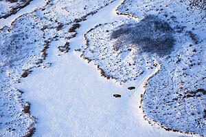 Arial view of snow covered land