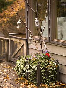 Exterior of a house in fall