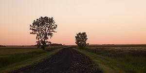 Dirt road through fields, Manitoba, Canada