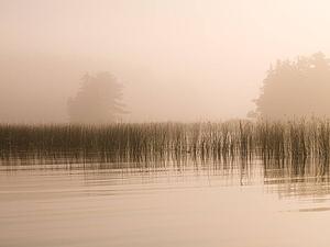 Lake of the Woods, Ontario, Canada, A fog covered lake