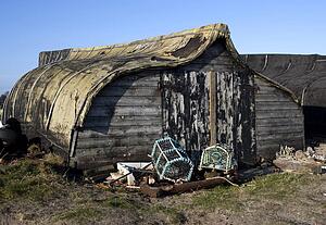 Old barn with lobster traps