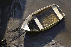 Boat on the shore