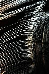 Flowing lines