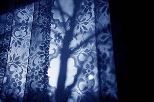 Silhouette of a tree through curtains