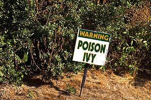 Warning sign for poison ivy