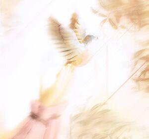 Bird being released