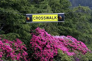 Crosswalk sign