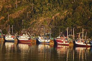 Fishing boats in Port of St. John's, Newfoundland, Canada 